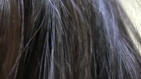 41068