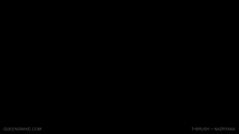 11021